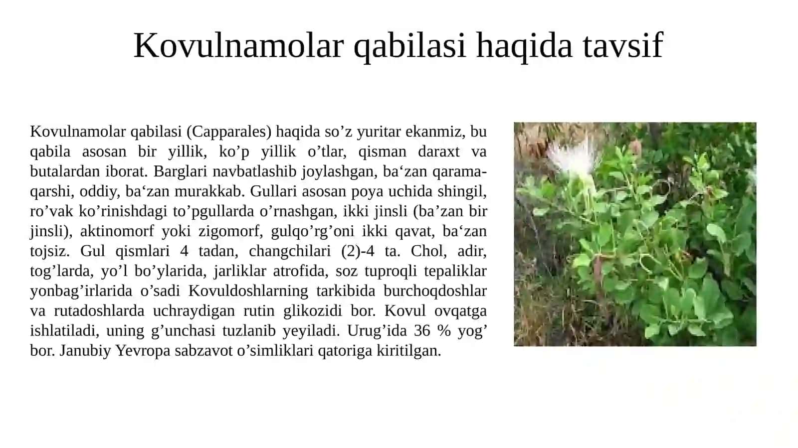 Capparaceae, Brassicaceae va Malvaceae oilasi turkumi turlari nomenklaturasini tahlili va oʻrganish qoidalari 2