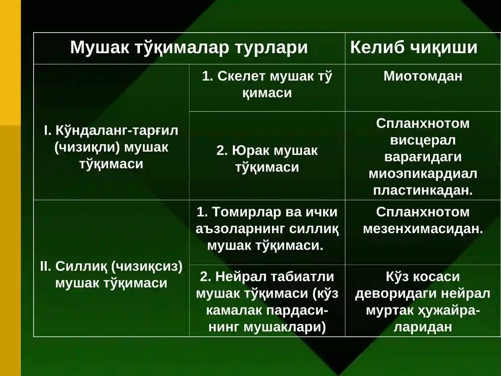 МУШАК ТЎҚИМА 2