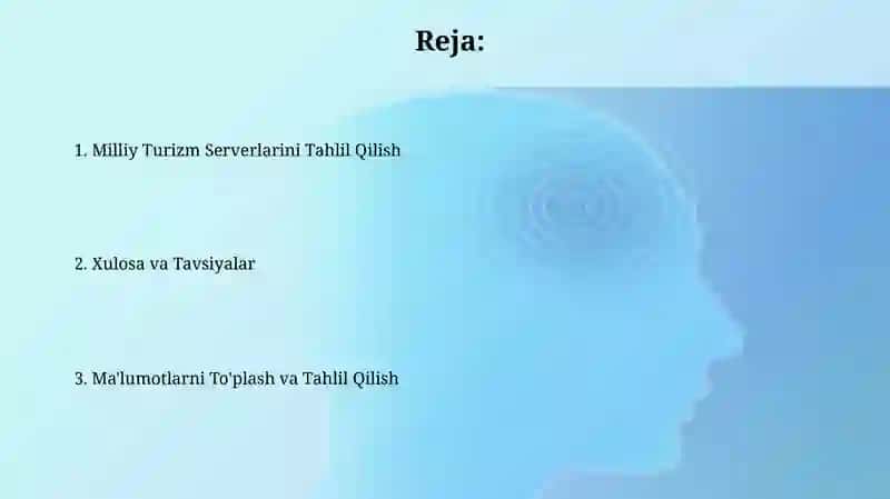 Milliy Turizm Serverlarini Tahlil Qilish 2