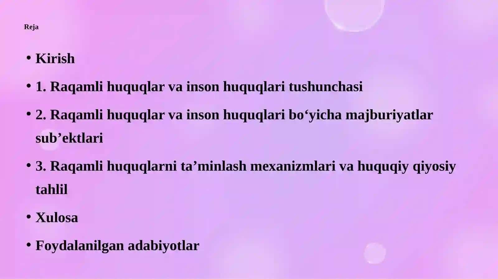 Raqamli huquqlar va inson huquqlari bo‘yicha majburiyatlarsub’ektlari 2