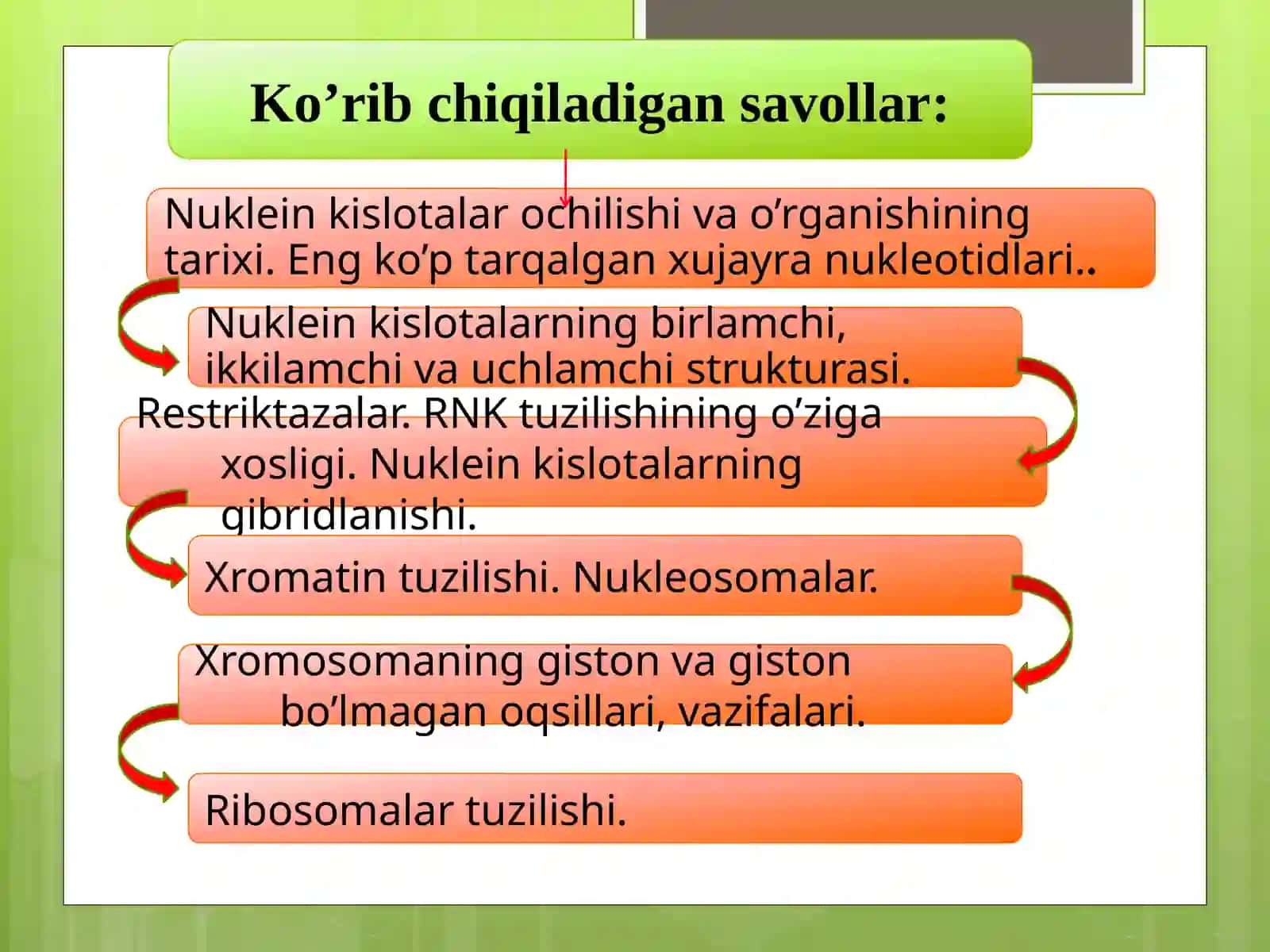 9-sinf Biologiya fanidan dars ishlanma. Nuklein kislotalar 2