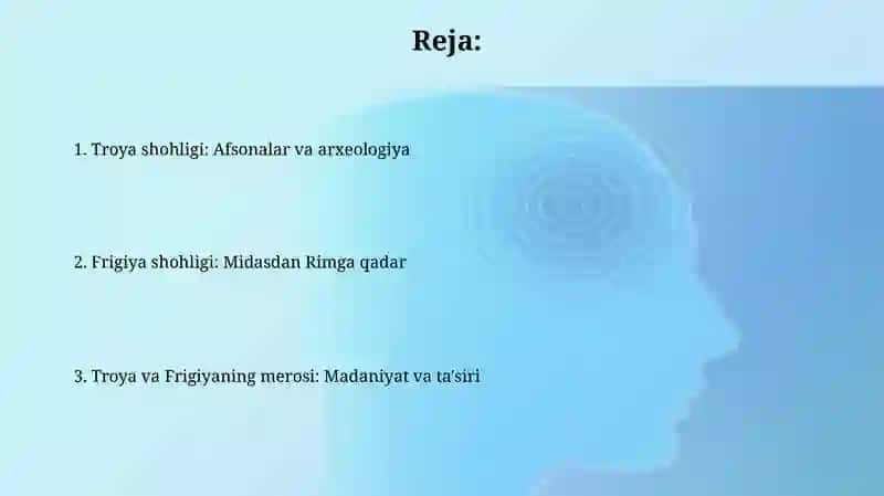 Qadimgi troya vatrigiyapodsholiklari 2