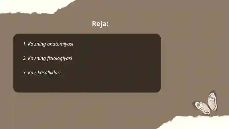 Inson sezgi organlari anatomiyasi, fiziologiyasi va patologiyasi 2