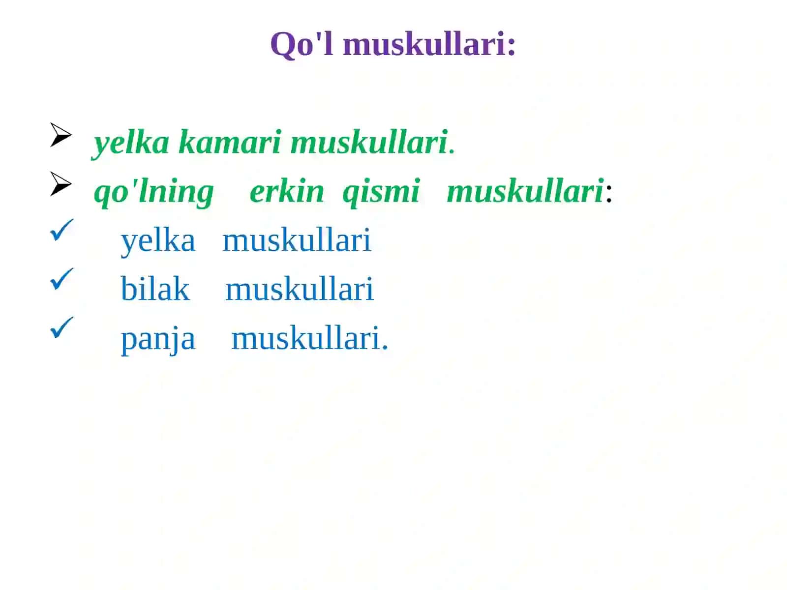 Qo’l muskullari 2