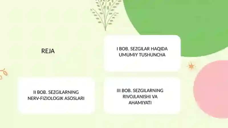 Sezgilar haqida umumiy tushuncha va uning  nerv-fiziologik asoslari 2