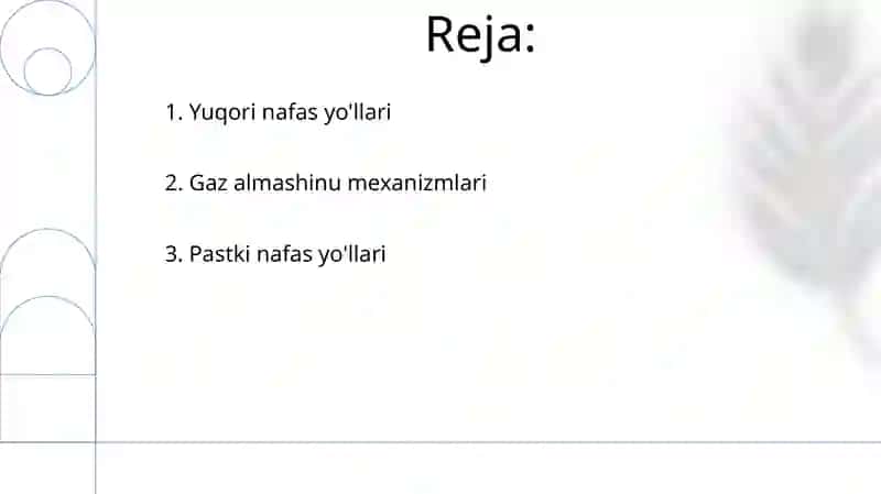 Organizmni nafas olish organlar sistemasining tuzilishi 2