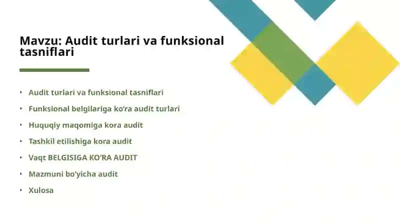 Audit turlari va funksional tasniflari 2