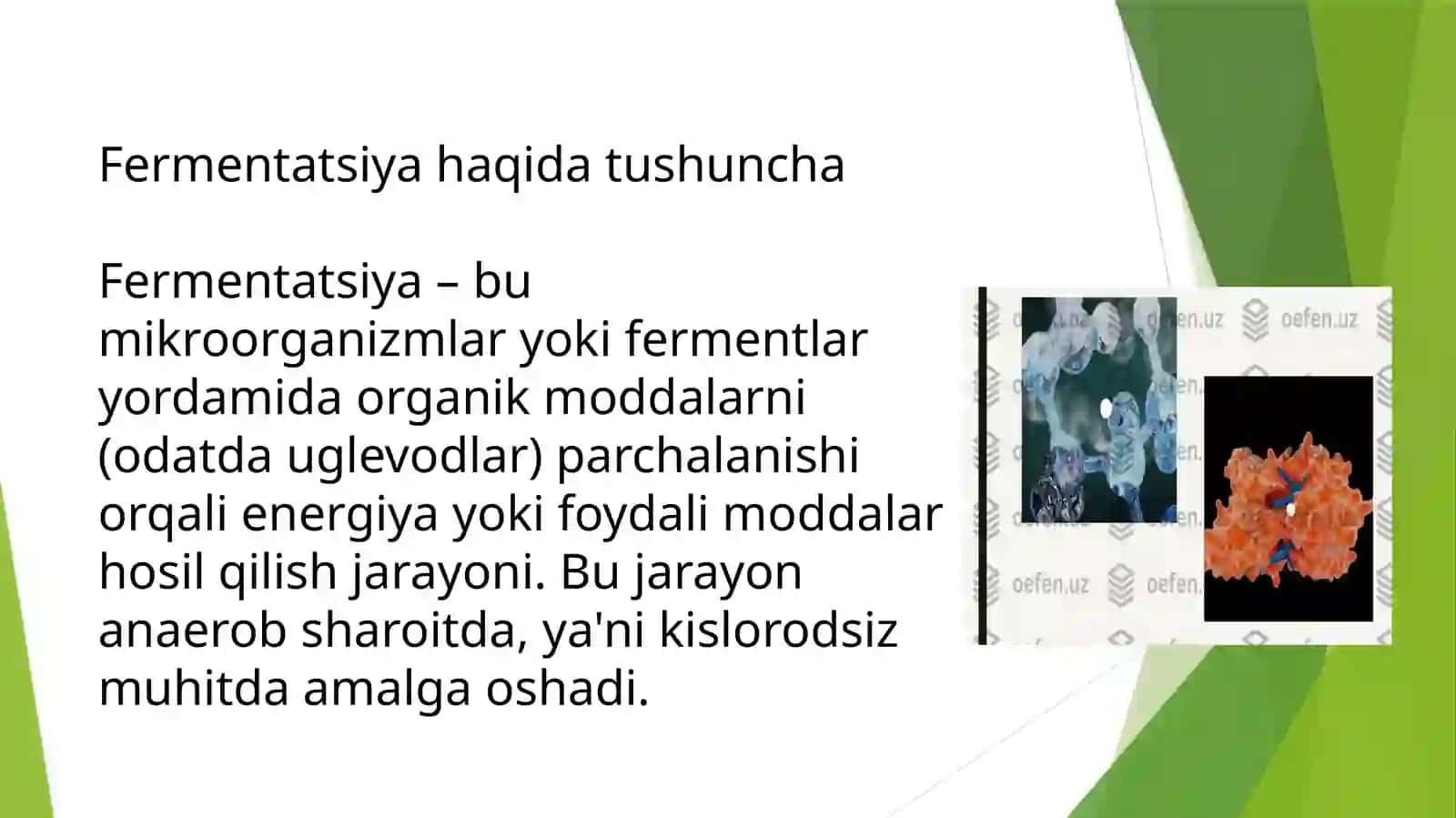 Fermentlarni biotexnologik sohalarda qo’llash usuli 2