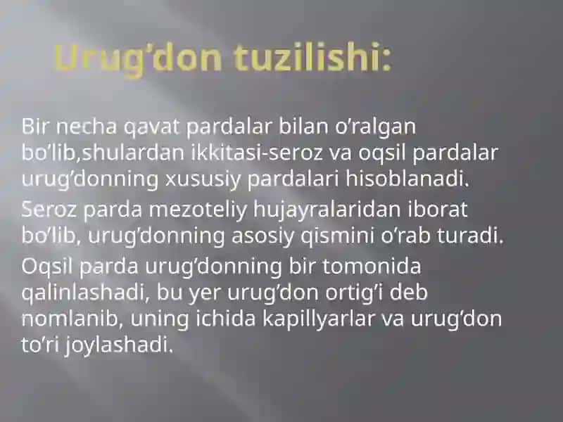 Erkaklar jinsiy a’zolari 2