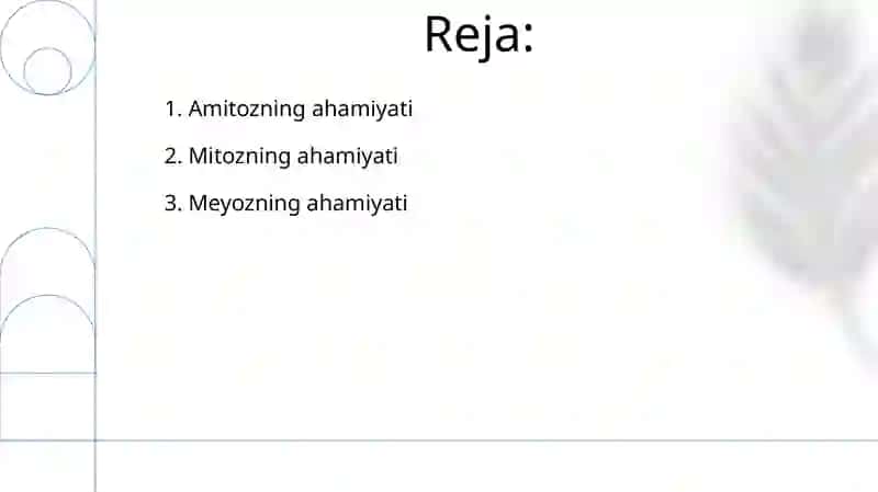 Gulliy o‘simliklar olamida amitoz mitoz va meyozning ahamyati 2