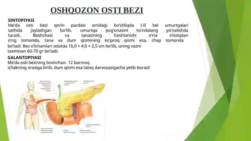 Oshqozon osti bezi sintopiyasi 2
