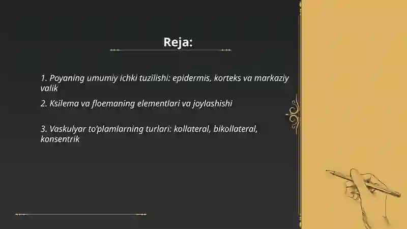 Poya tuzilishi,turlarini poyaning ichki qismlari asosida yoritib berish 2