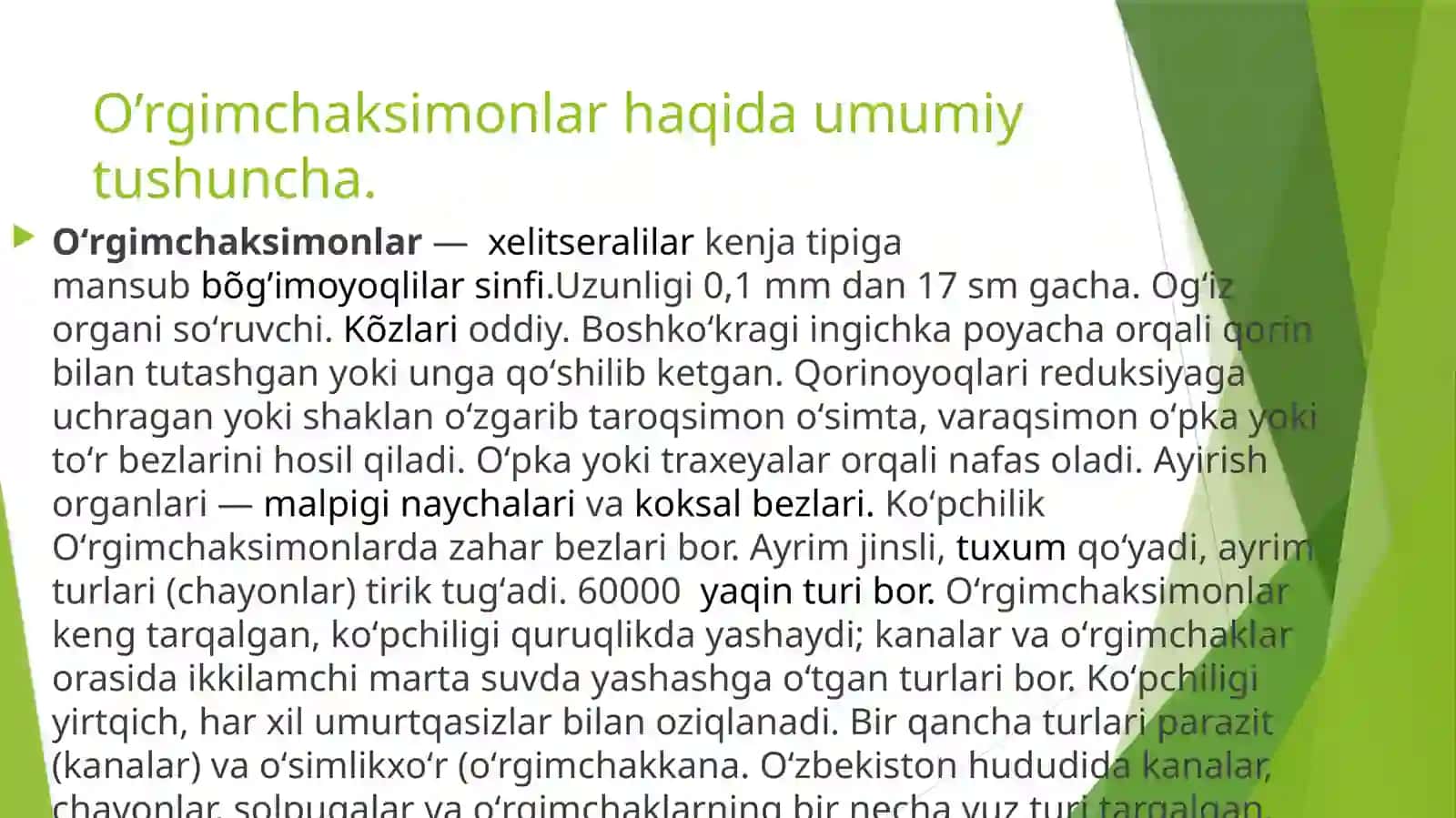 O’rgimchaksimonlar sinfi 2
