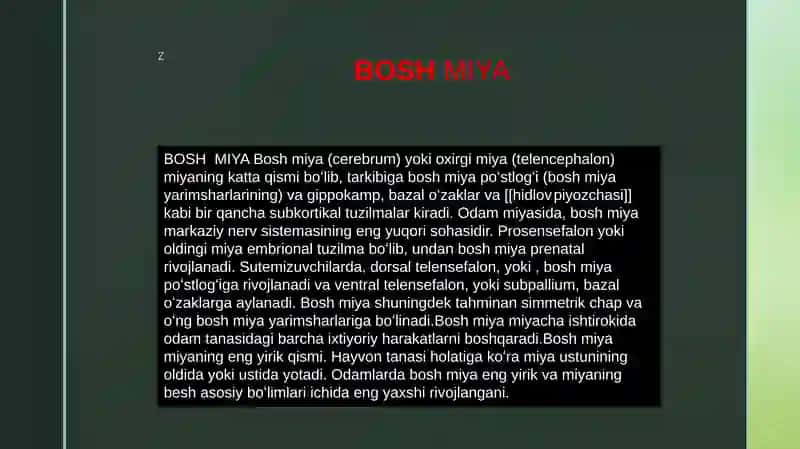 BOSH MIYA 2
