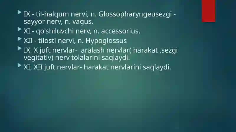IX, X, XI, XII juft bosh miya nervlari: tekshirish usullari va patologiyasi. Bulbar va psevdobulbar sindrom. 2