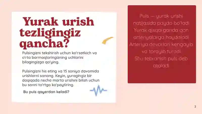 Inson Yurak, Qon va Qon tomirlari haqida tushuncha 2