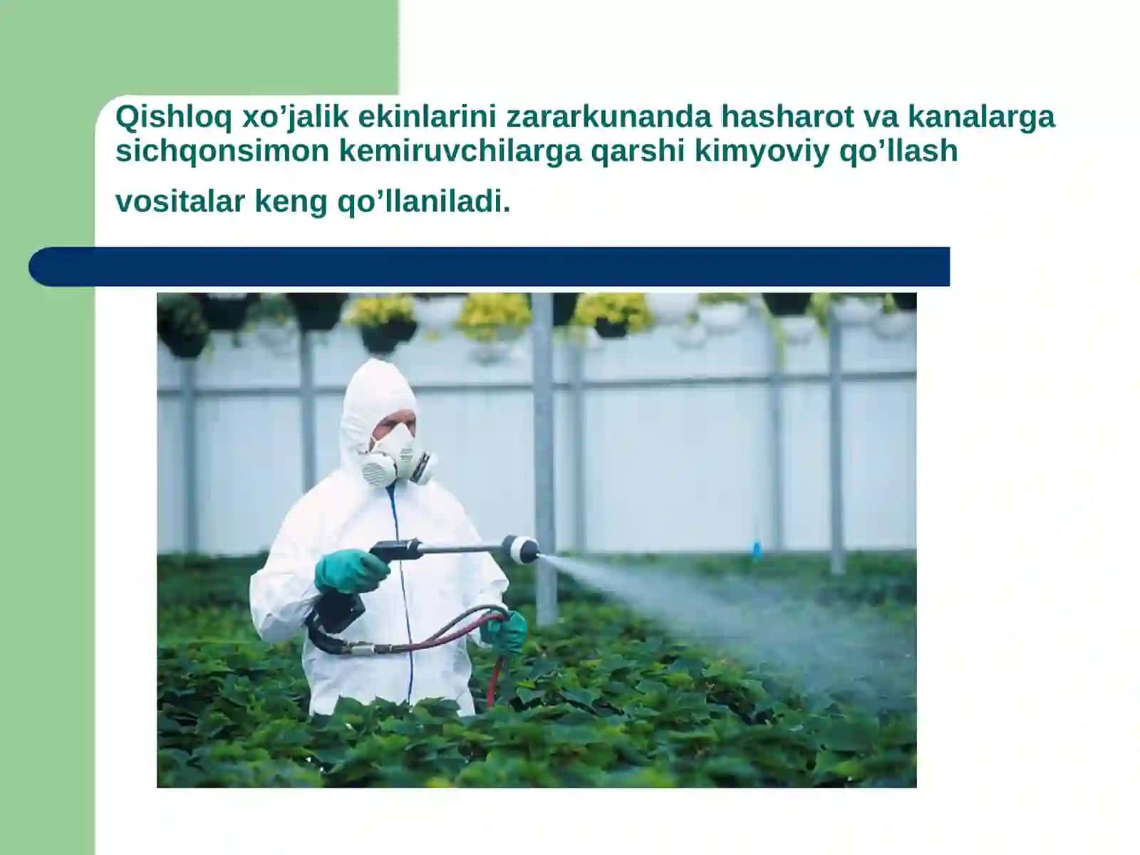Pestitsidlarni qo`llash natijasida kelib chiqadigan oqibatlar 2