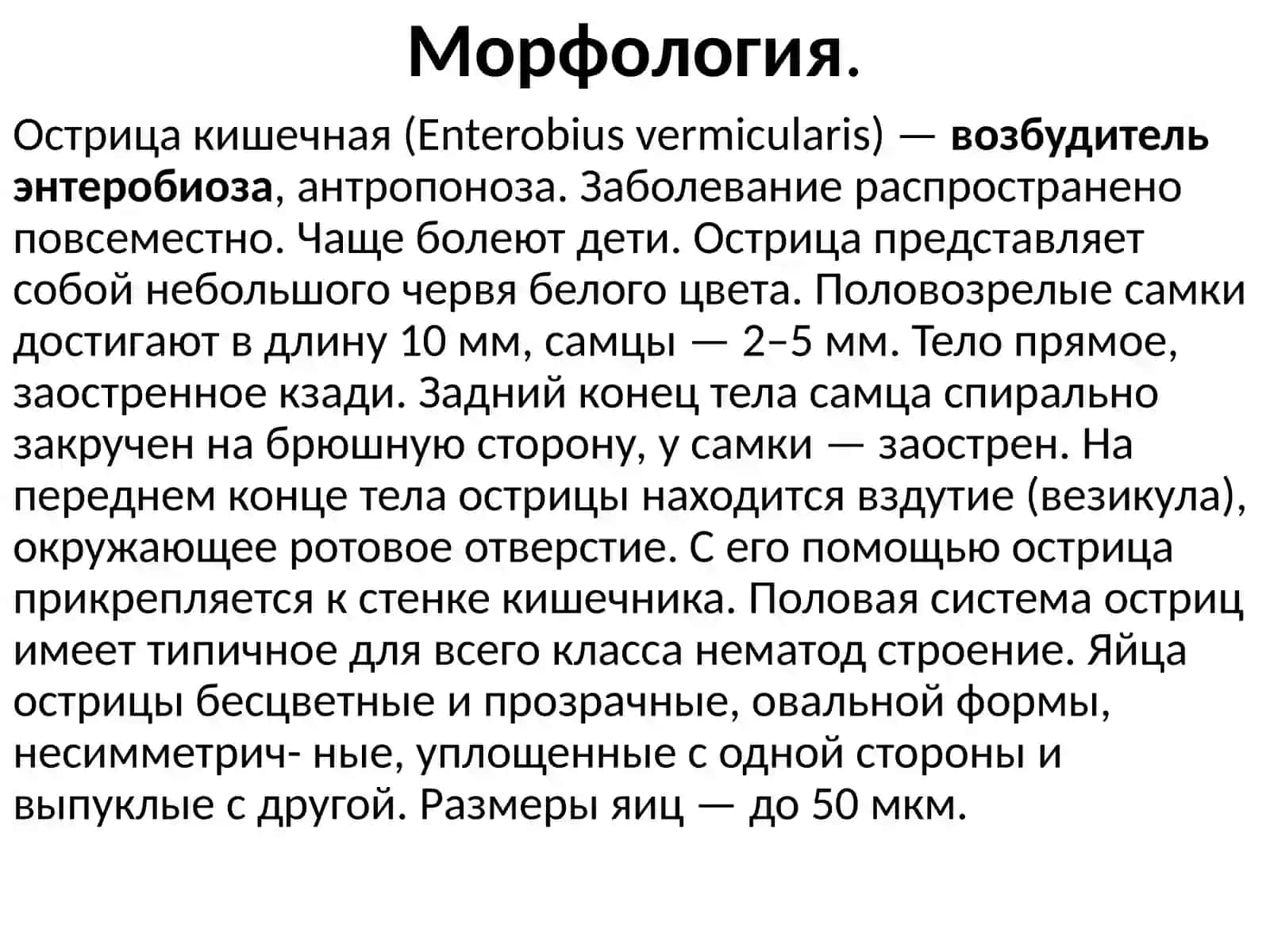 Острицакишечная (Enterobius vermicularis) 2