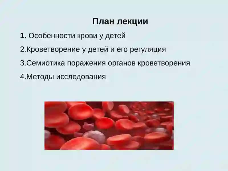 Особенности системы крови у детей 2