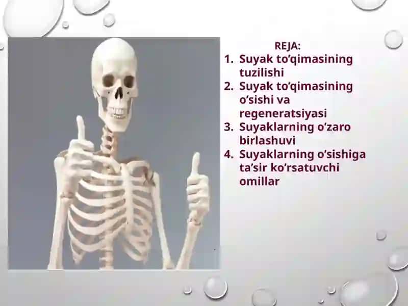 GISTOLOGIYA VA TIBBIY BIOLOGIYA 2