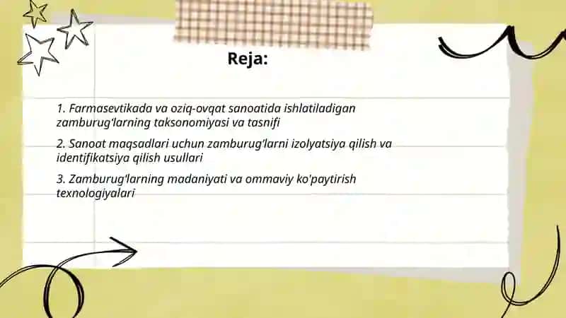 Farmasevtikada va oziq ovqat sanoatida ishlatiladigan zamburugʻlarni oʻrganish va ularni roʻyharini tuzish 2
