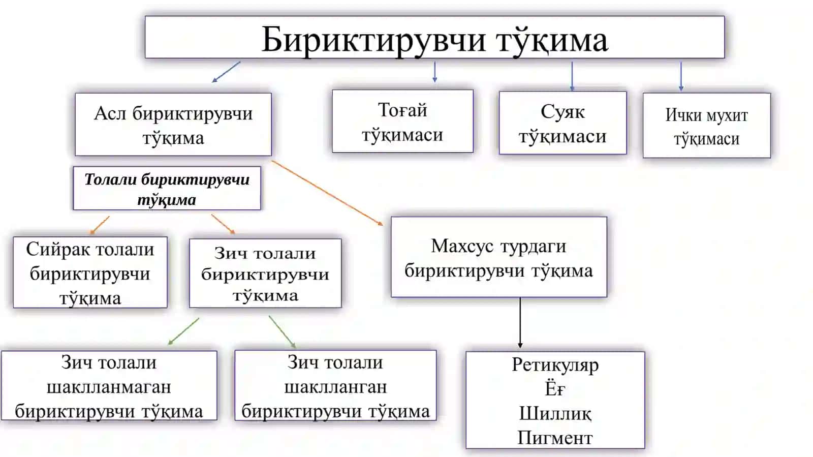 Бириктирувчитўқима 2
