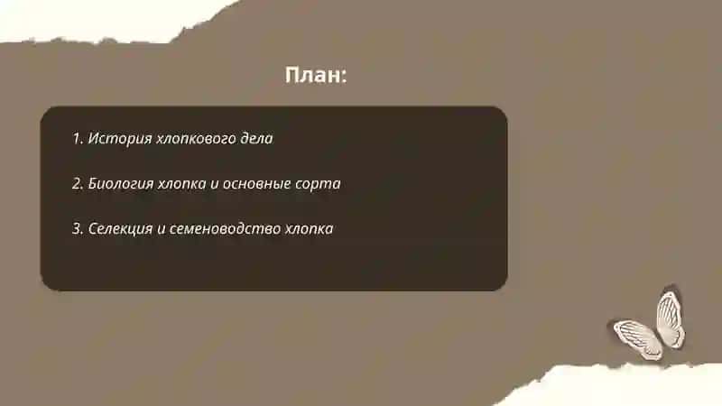 Хлопковое дело 2
