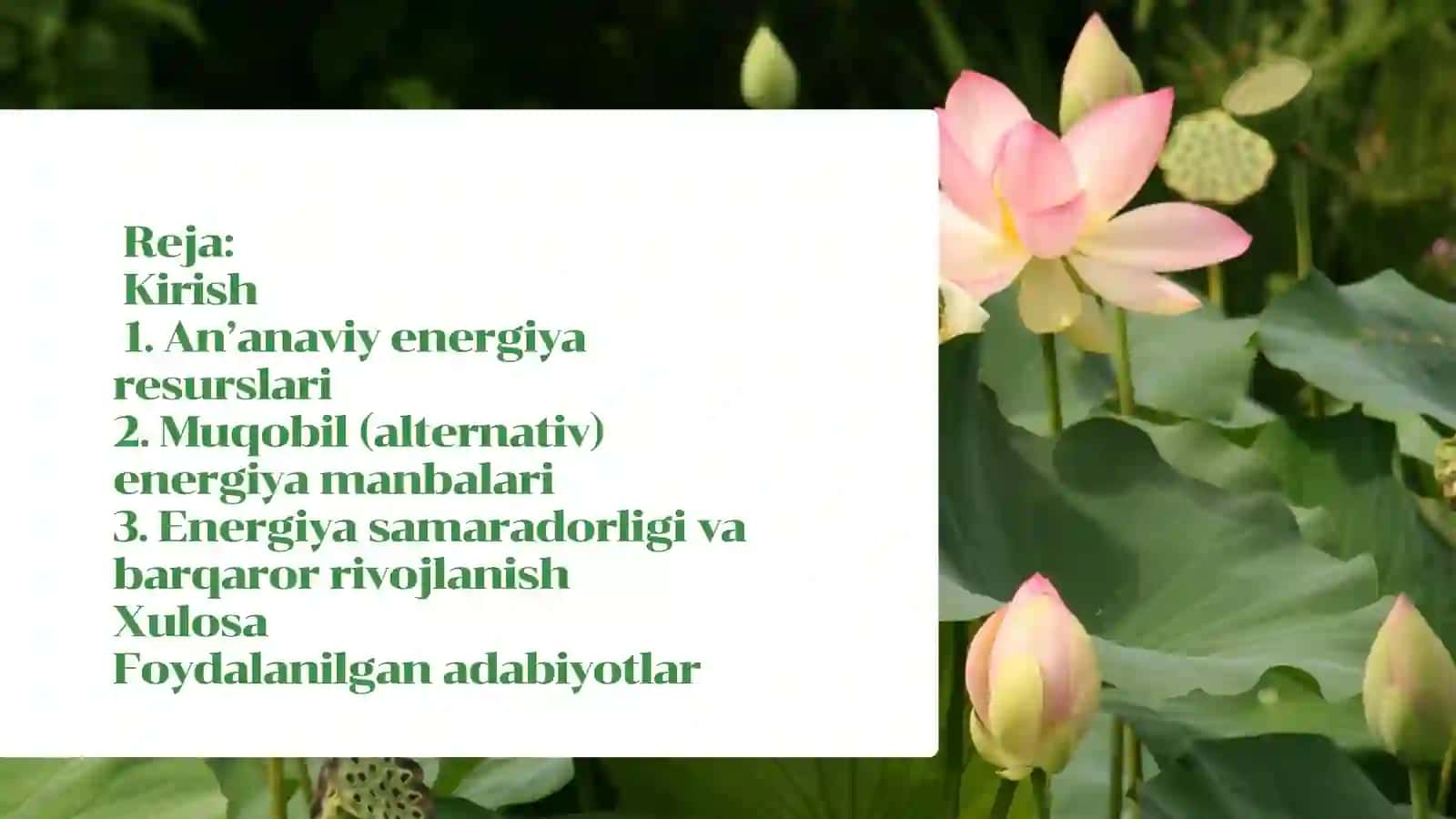 Energiya resurslari va muqobil energiya manbalari 2