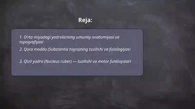 Oʻrta miya yadrolari fiziologiyasi tuzilishi 2