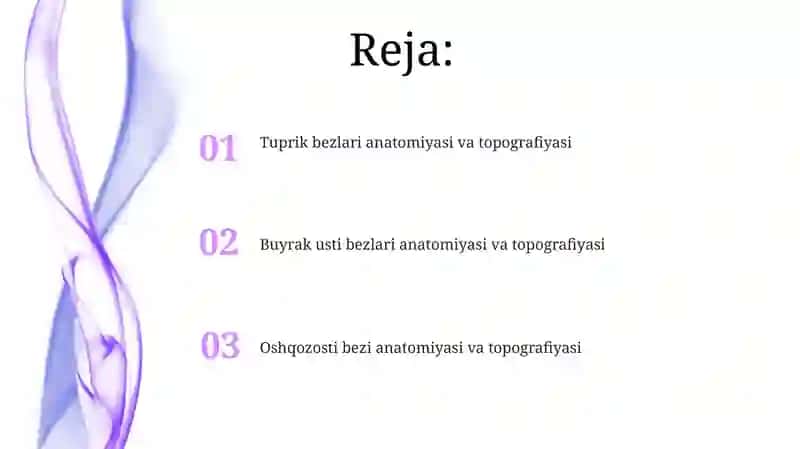 Buyrak usti bezlarining anatomiyasi va topografiyasi 2