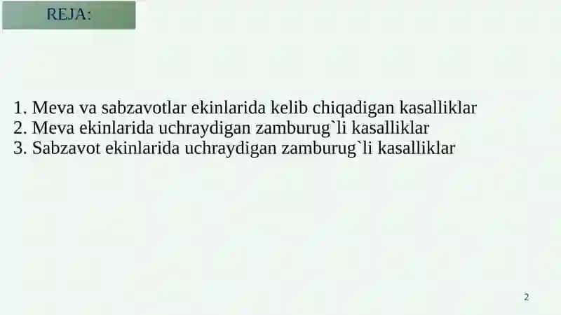 Meva va sabzavot ekinlarida zamburugʻlarning ta’siri 2