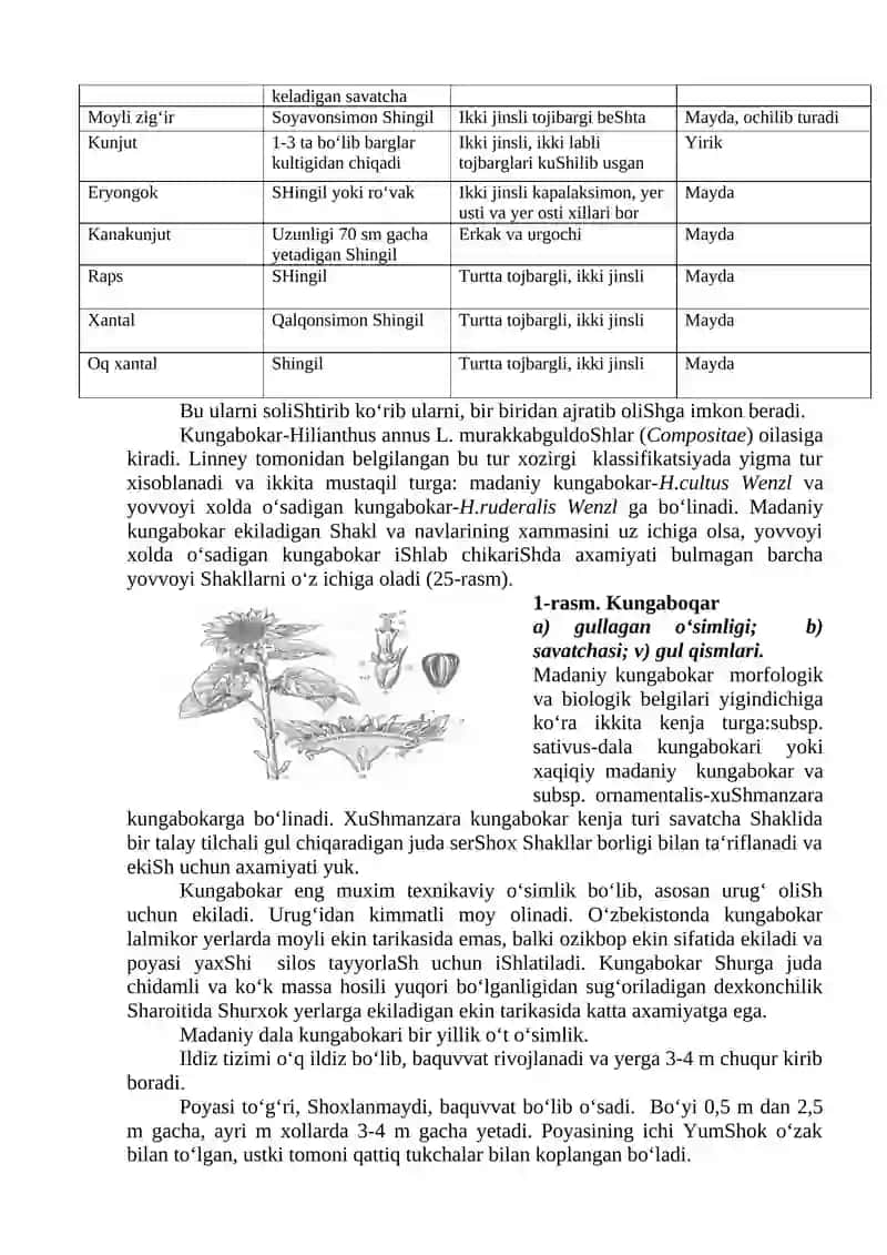 MOYLI EKINLAR GURUXLARI. KUNGABOQAR MORFOLOGIYASI 2