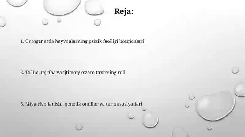 Hayvonlarning psixik faoliyatini ontogenezda rivojlanishi 2