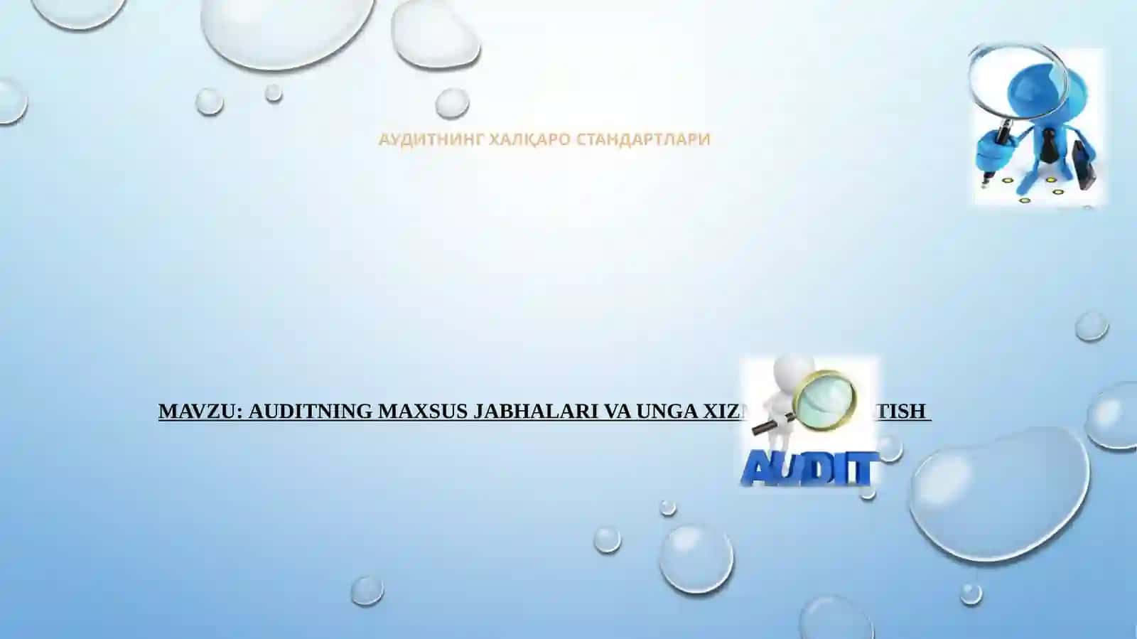 AUDITNING MAXSUS JABHALARI VA UNGA XIZMAT KO‘RSATISH 2