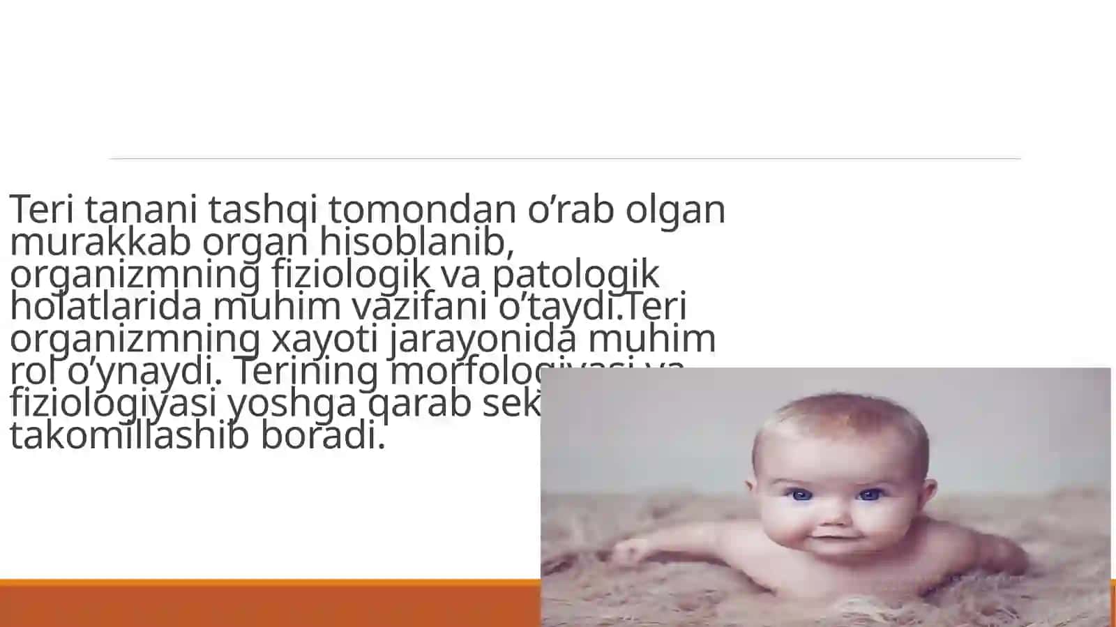 Bolalarda teri morfologik va funksional hususiyatlari 2
