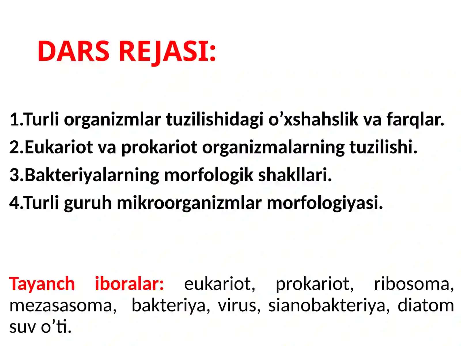 BAKTERIYA HUJAYRASINING TUZILISHI 2