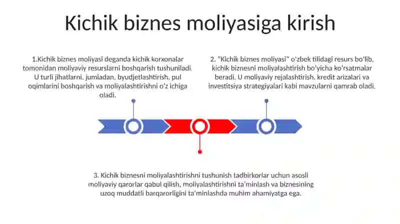 Kichik Biznes Moliyasi 2
