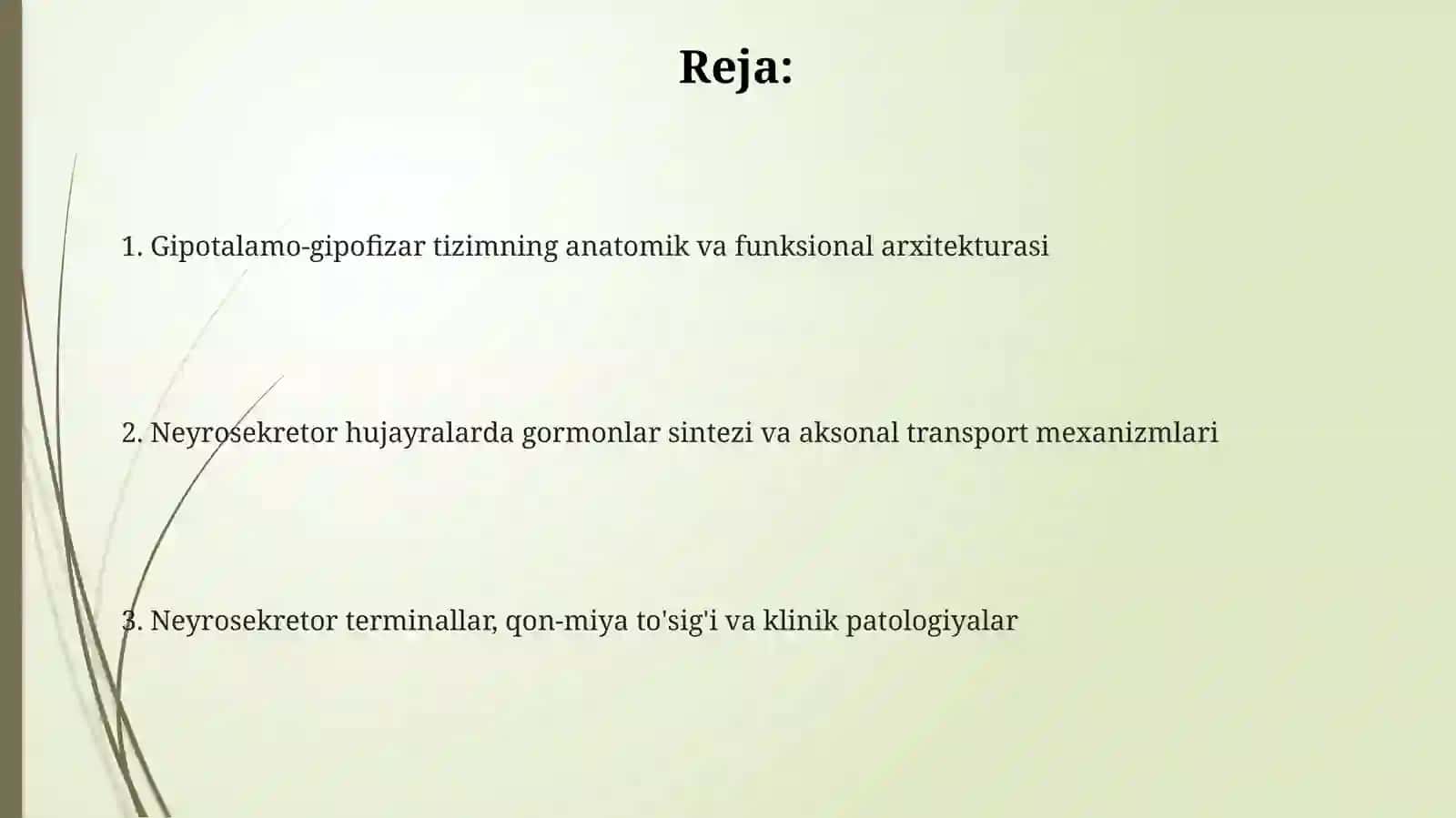 Gipotalamus neyrosekretsiyasi 2