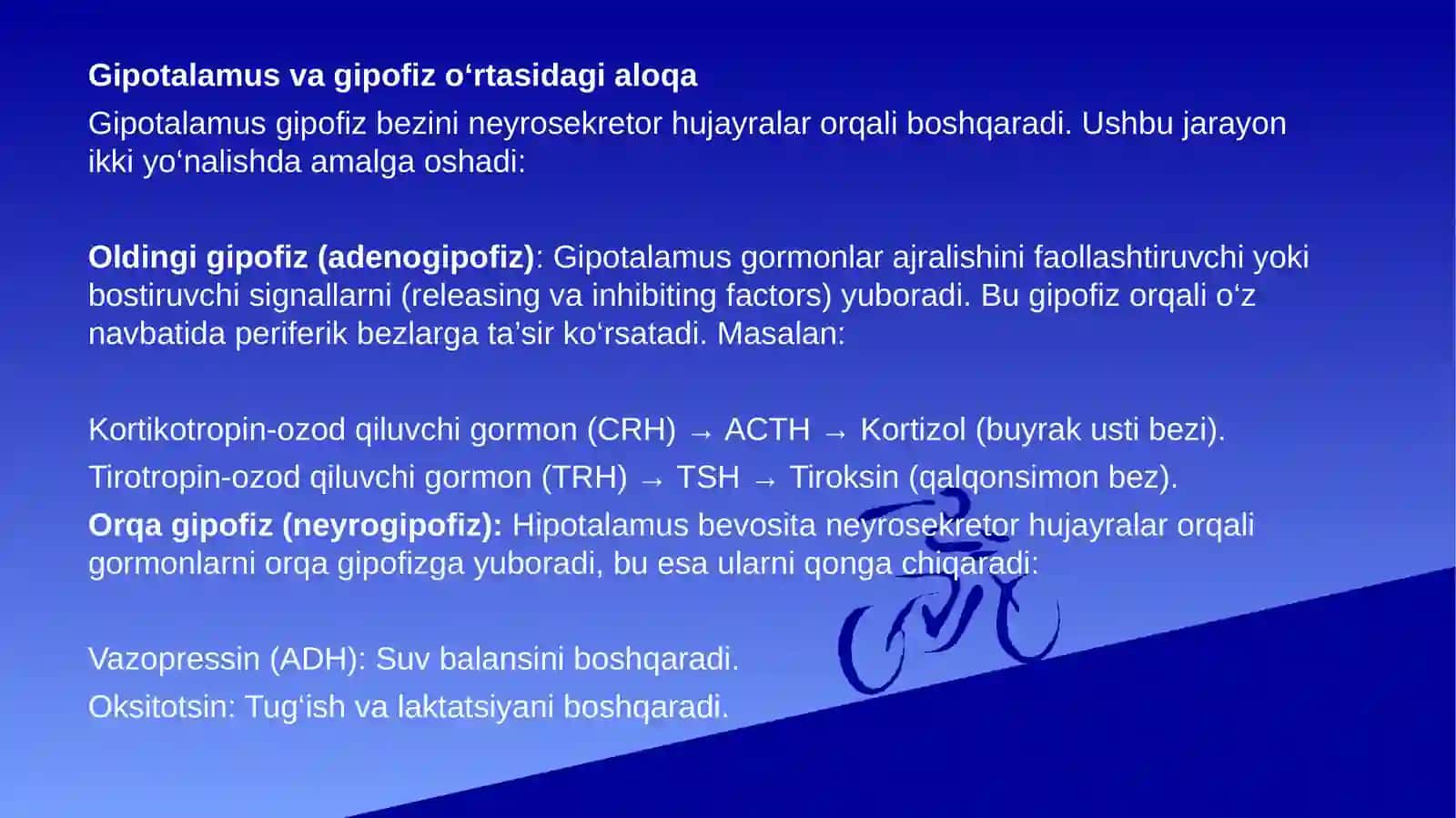 Markaziy asab tizimining boshqa tizimlar bilan o‘zaro aloqasi 2