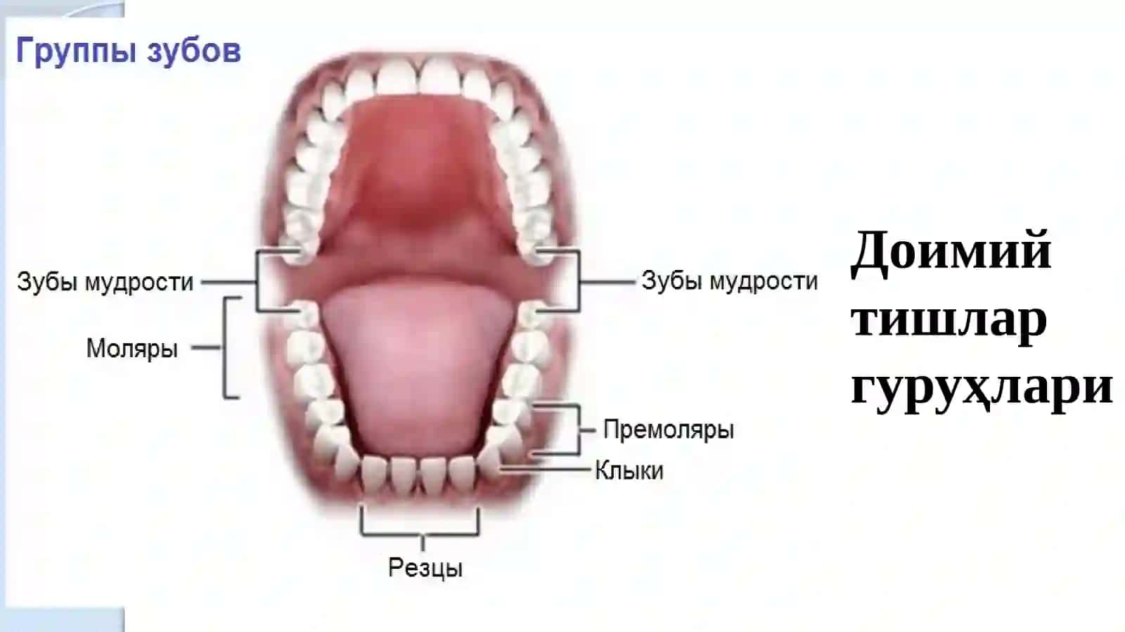 Кариес ковакларини чархлаш босқичлари ва услублари 2