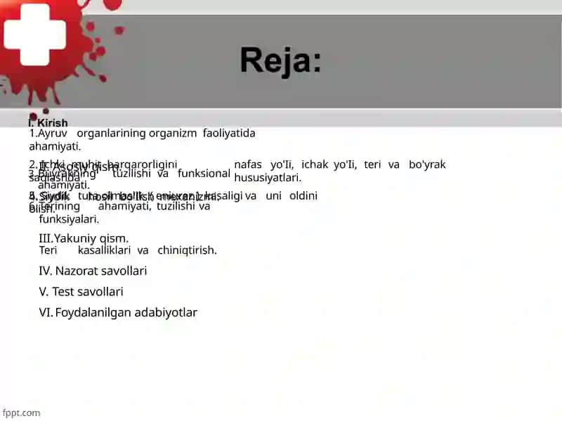Ayruvsistasi 2