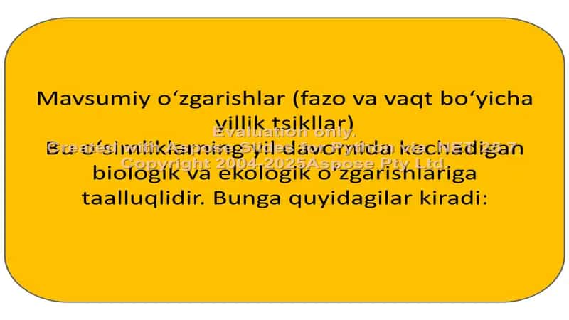 Geobotanika fanidan tayyorlagan prizintatsiya 2