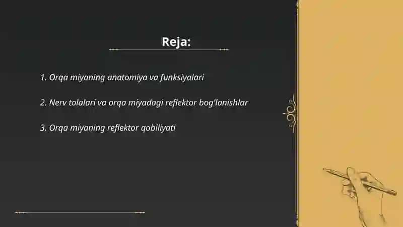 Orqa miyaning reflektor faoliyati va ótkazuvchi yòllari 2