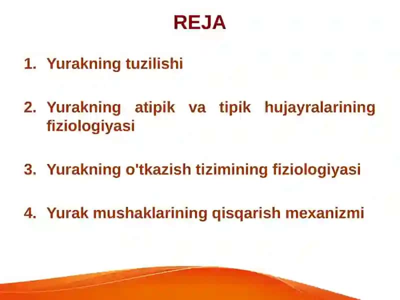 Yurakning Fiziologik Hususiyatlari 2