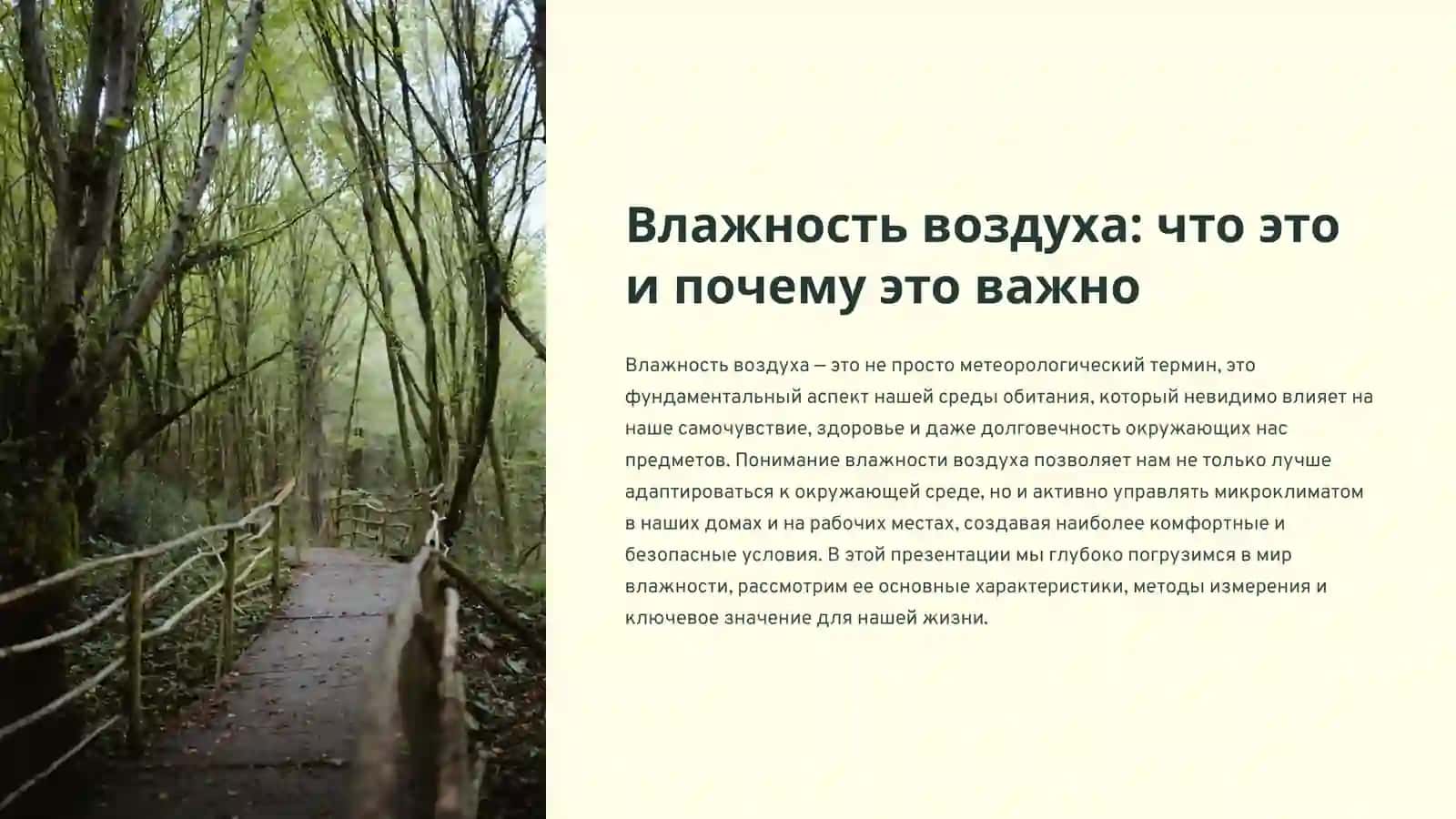 Влажность воздуха: что это и почему это важно 2