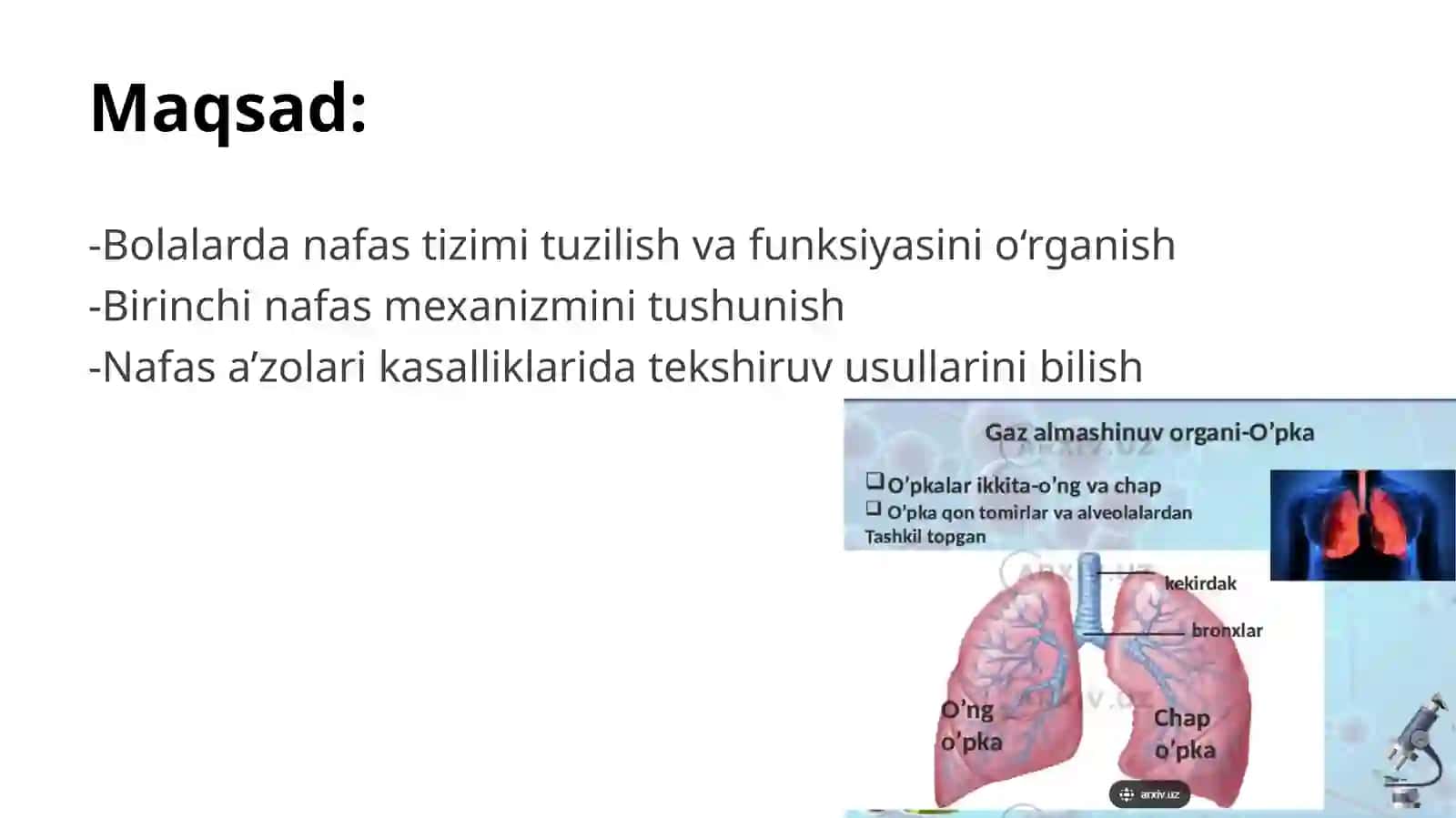 Bolalarda nafas tizimi anatomo-fiziologik xususiyatlari 2