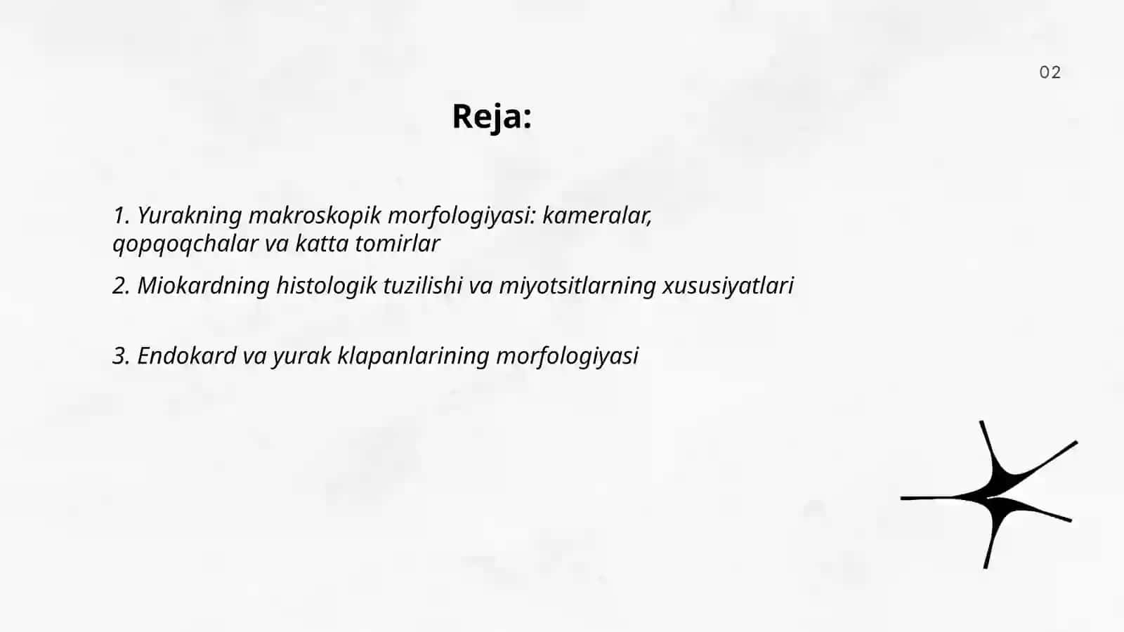 Yurak – qon tomirlarni morfologiyasini o‘rganish 2