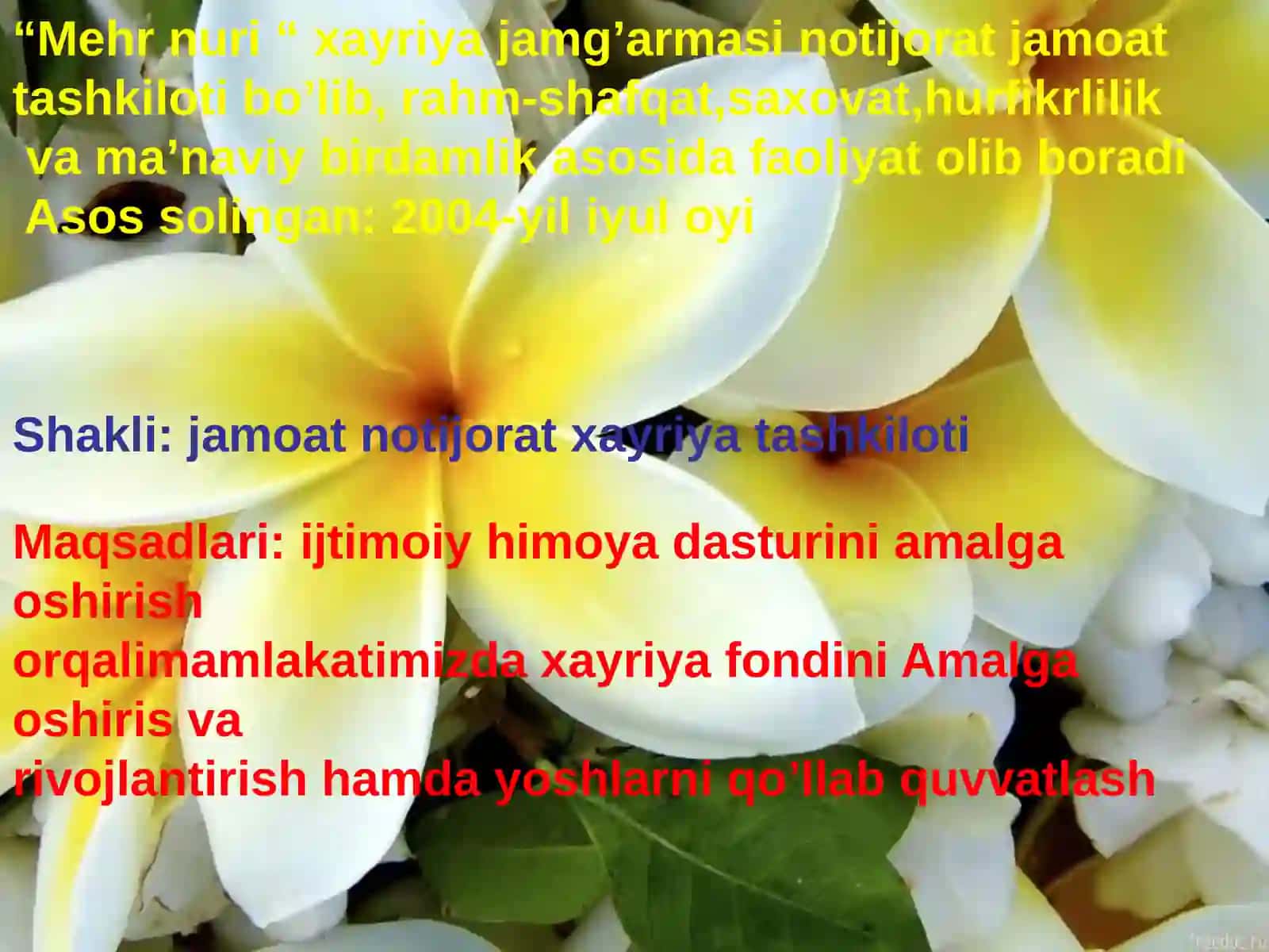 Mehrnuri xayriya jamg’armasi notijorat jamoat 2