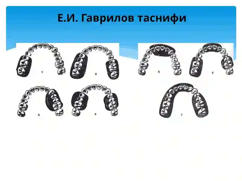Е.И.Гавриловтаснифи 2