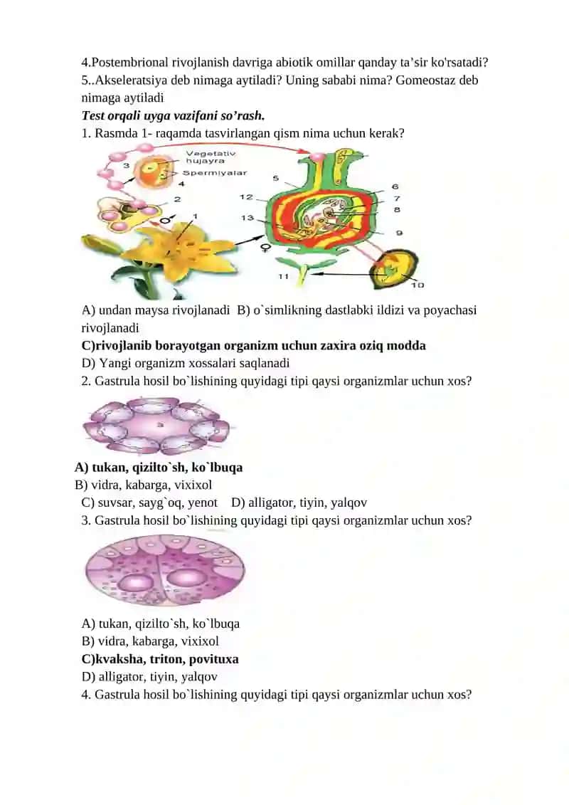Irsiyat va o`zgaruvchanlik 2